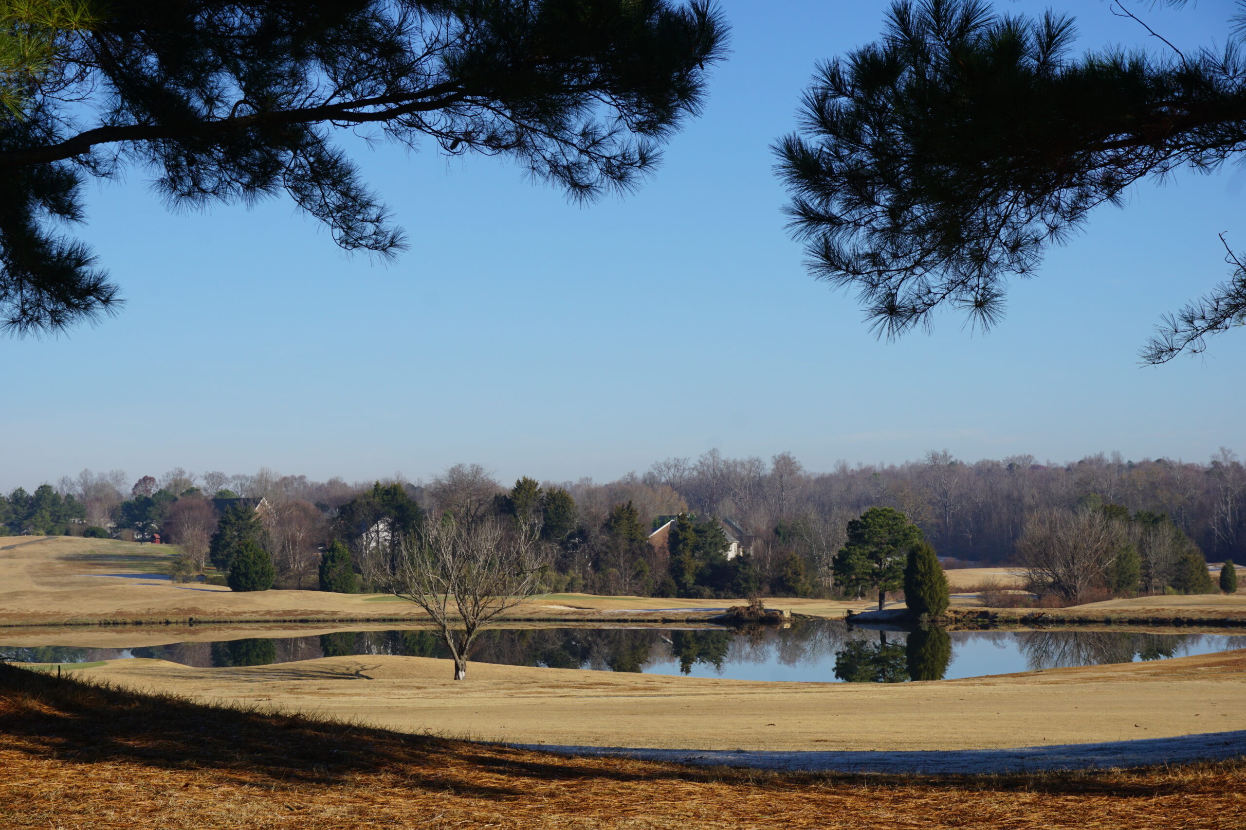 The Divide Golf Course winds through Shannamara.